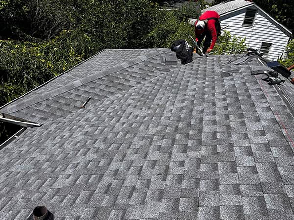 Professional Roof Replacement